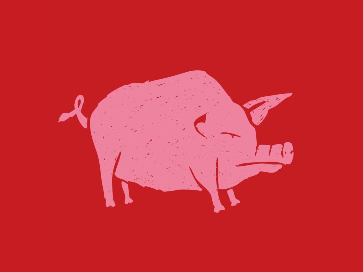 Review: Animal Farm – strong barnyard performances brighten an ambitious&nbsp;production