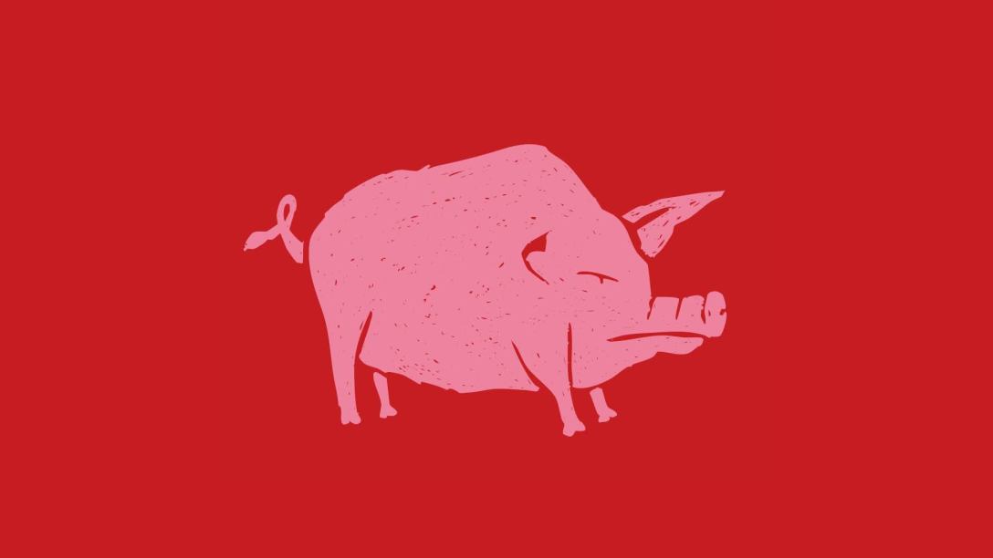 A stylised pink illustration of a grumpy looking pig on a red background